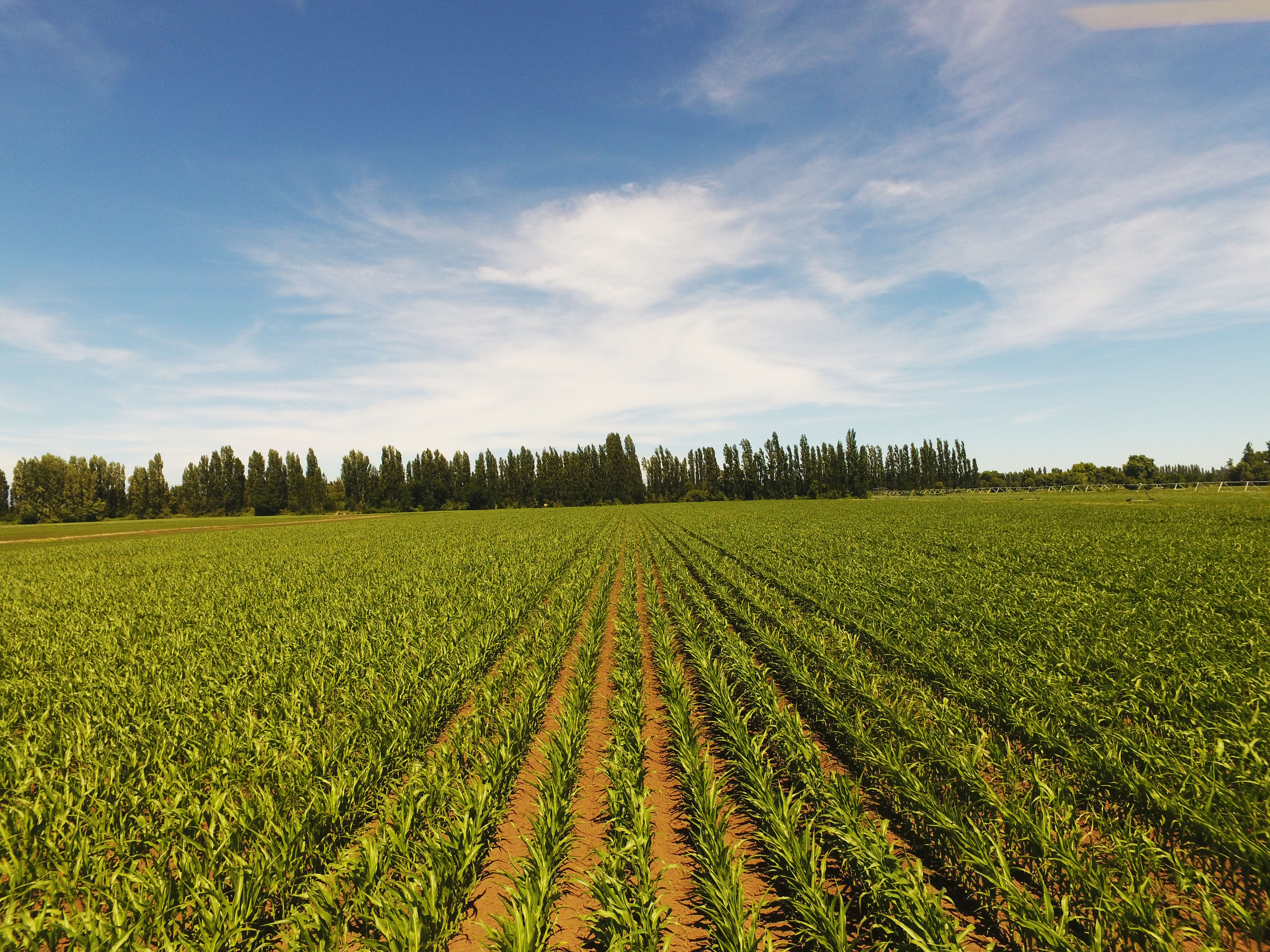 Curimapu acquires two new drones